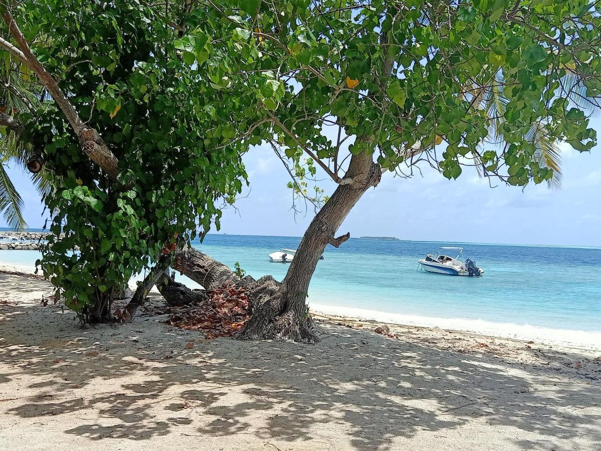 Fins Dive And Leisure Hotel Rasdhoo Exterior photo